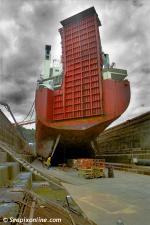 ID 969 GOLDEN TRADER (1979/6861grt/IMO 7820538, ex-CAPITAINE FEARN II, FUA KAVENGA. Renamed OCEAN GLORY. Scrapped 2011), in drydock at VT Fitzroy, Auckland, NZ.